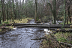 01- Large Woody Debris Dam - Pickering, Yorkshire