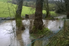 02- Large Woody Debris Dam - Slad Valley, Stroud