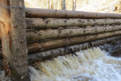 06- Large Woody Debris Dam