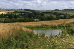 05- Offline Pond - Honeydale Farm, Ascot Under Wychwood