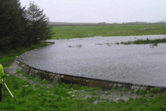 08 - Online Pond - Belford, Northumbria