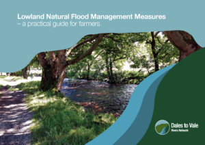 thumbnail of 03 12261_DVRN_lowland_NFM