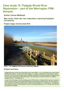 thumbnail of 10_PadgateBrook