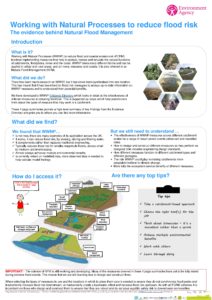 thumbnail of 11 Working_with_natural_processes_one_page_summaries