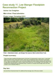 thumbnail of 11_LowStanger