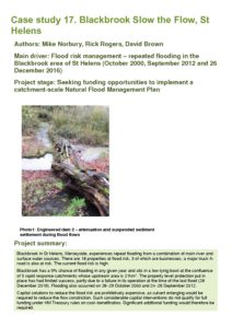 thumbnail of 17_Blackbrook