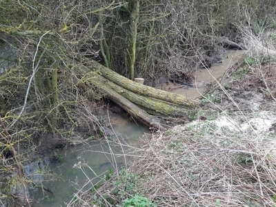 A photo of 2018 the Woody Dam on Knee Brook. We see three medium sized logs across a small stream. The dam appears to be 'filtering' sand and soil out of the water.