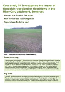 thumbnail of 28_Cary