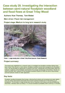 thumbnail of 29_GreatTriley