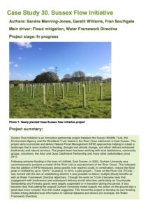 thumbnail of 30_SussexFlow